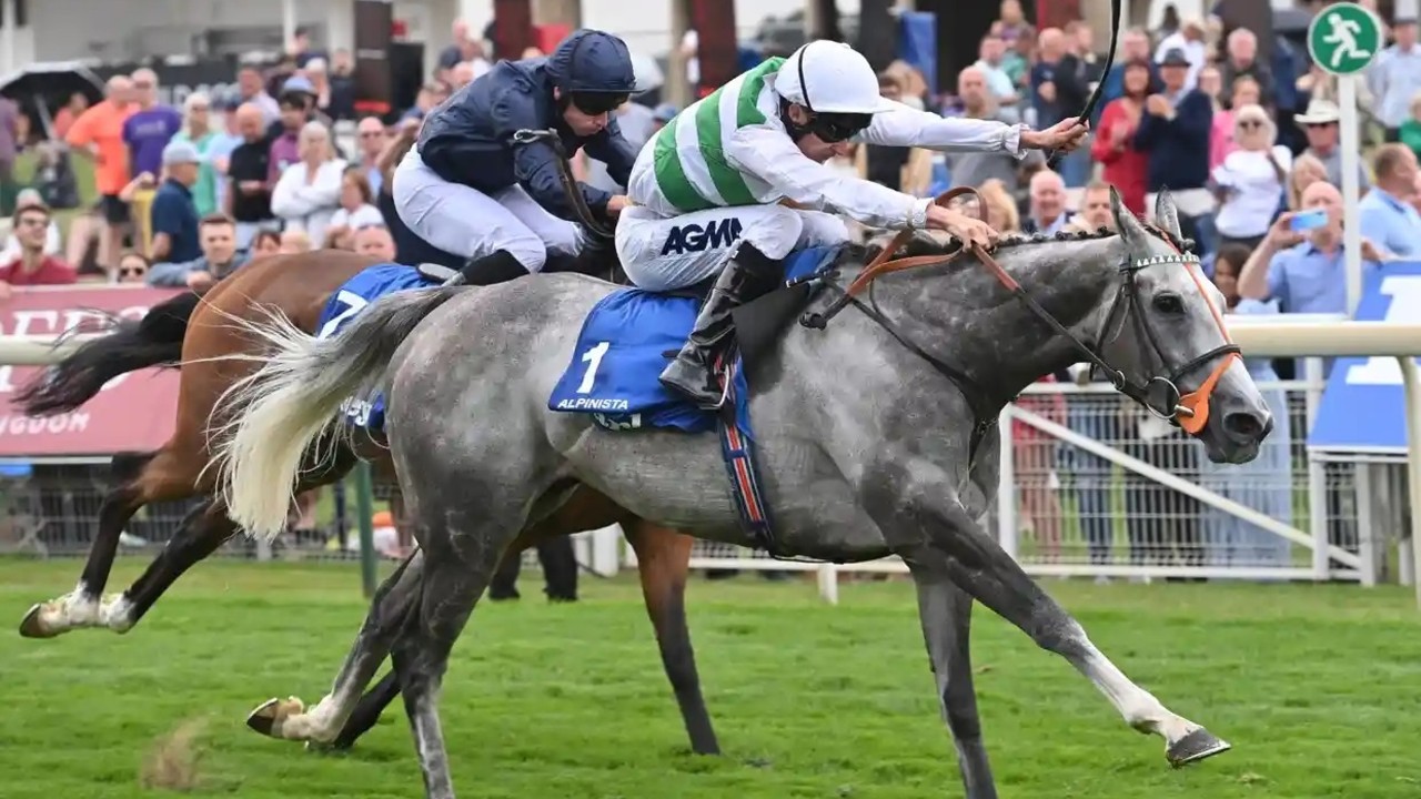 Arc winner Alpinista retired to stud after setback Image 1